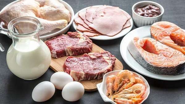 The pros and cons of a protein diet