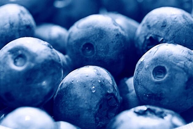 Blueberries for the Ketogenic Diet