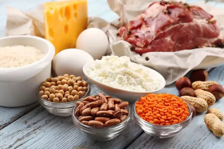 Foods for a protein diet